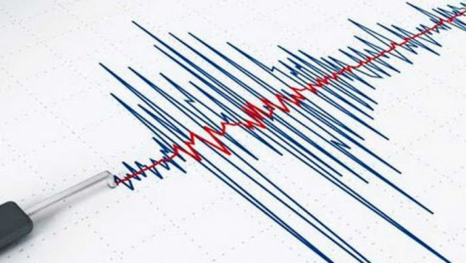 El movimiento telúrico no reunió las condiciones necesarias para generar un tsunami en las costas de Chile.